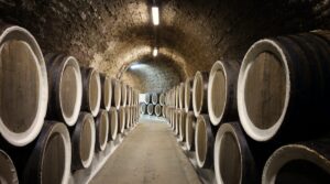 Cantine Aperte in Campania con vigneti da visitare e degustazioni