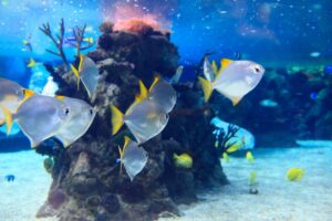 Eventi a Napoli nel weekend dall’11 al 13 giugno 2021