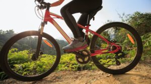 Carditello Reale, 1000 km mit dem Fahrrad von Monza zum Carditello Hippodrome