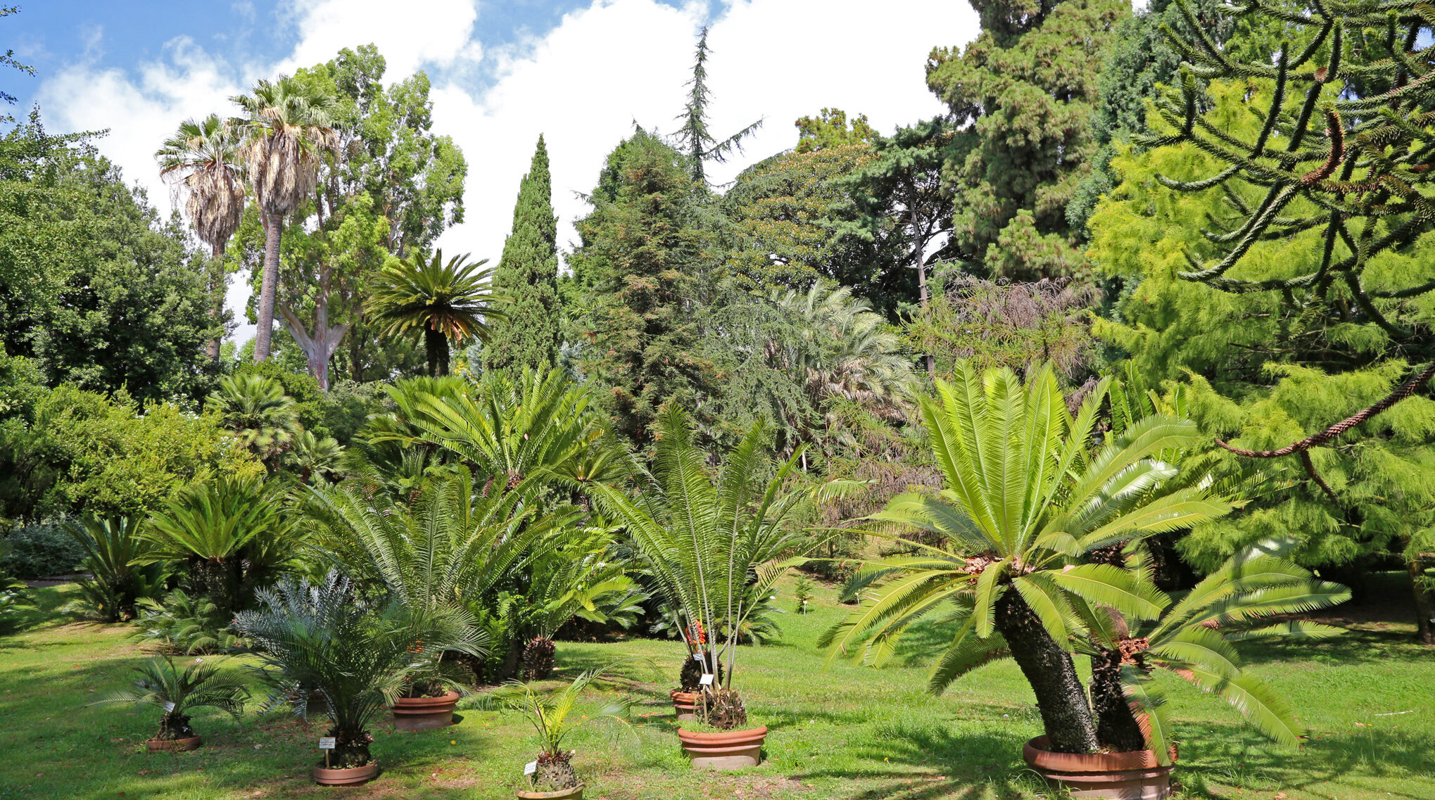 Botanischer Garten von Neapel