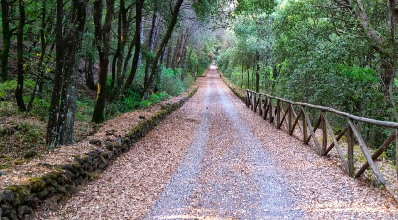 Parc du Vésuve, le sentier de la réserve de Tirone rouvre