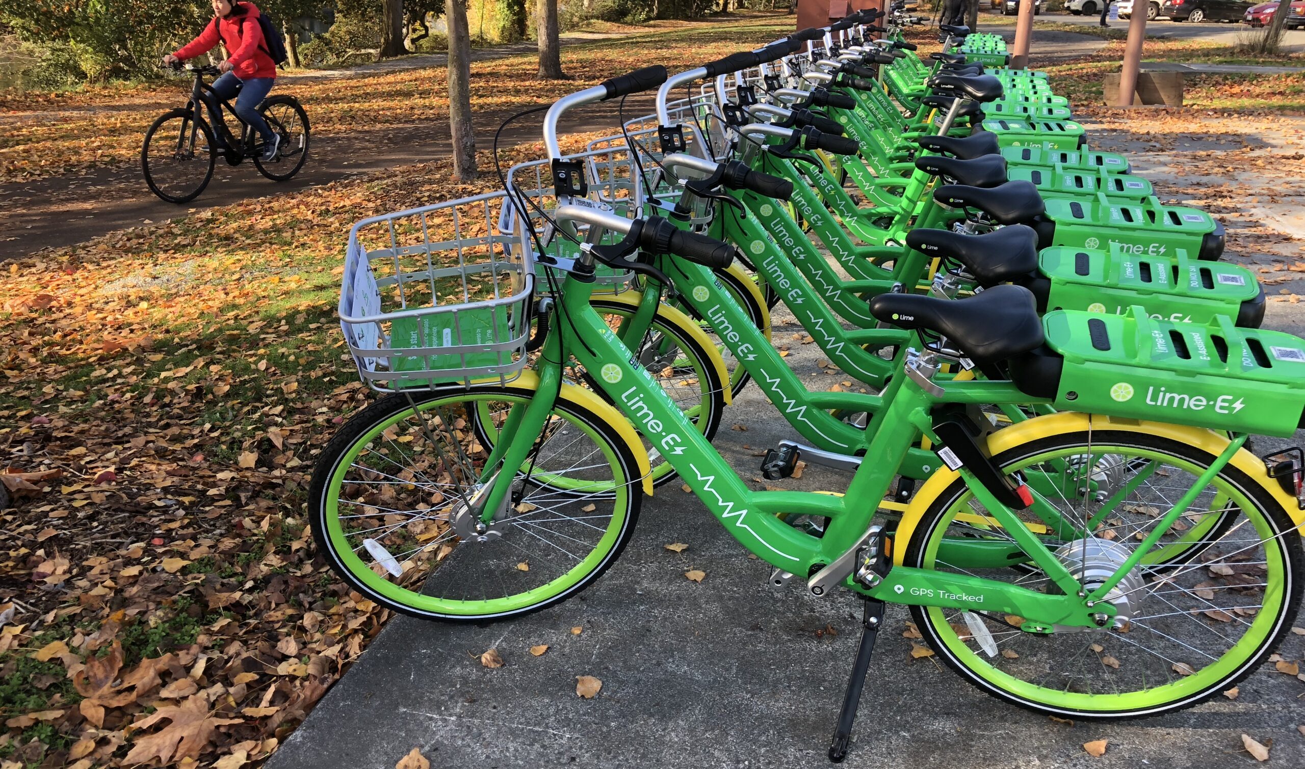 Bike Sharing a Napoli: si ripartirà con 500 bici elettriche