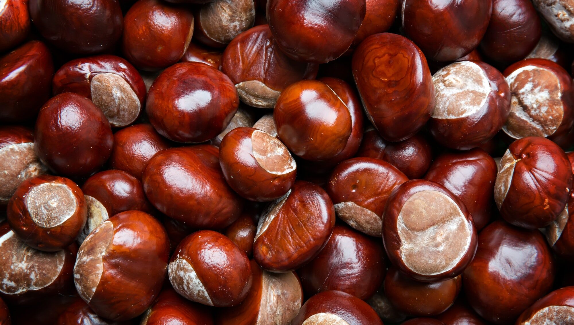 Chestnuts