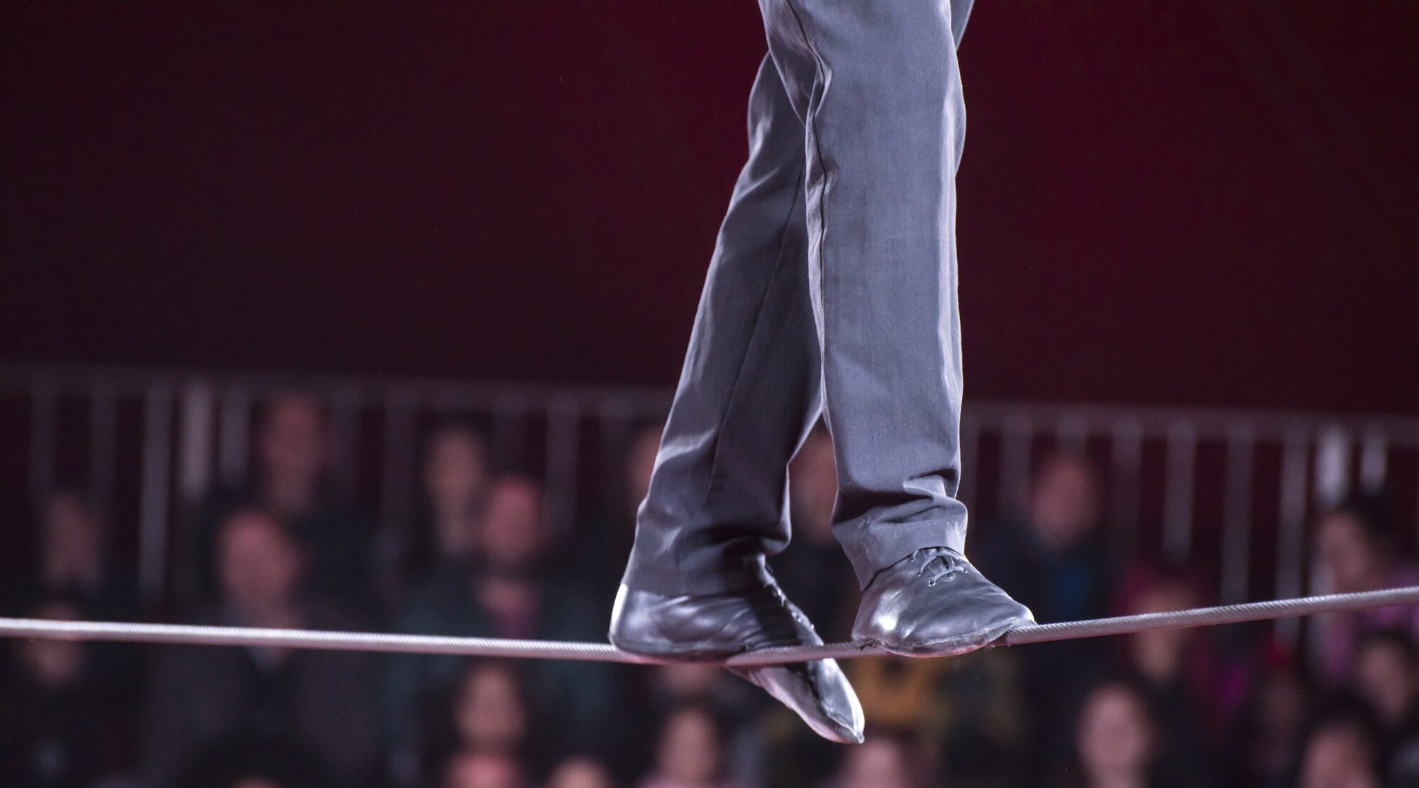 Circo Lidia Togni a Napoli, gli spettacoli tornano a Fuorigrotta