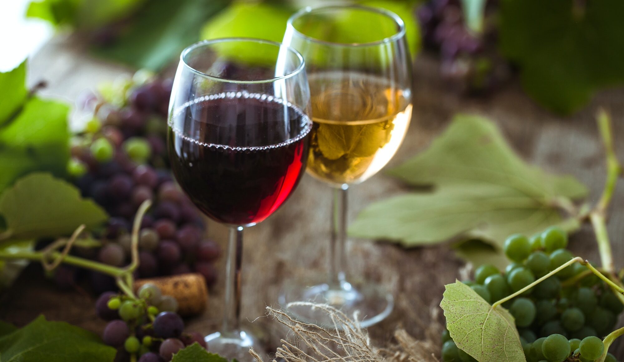 Copas de vino