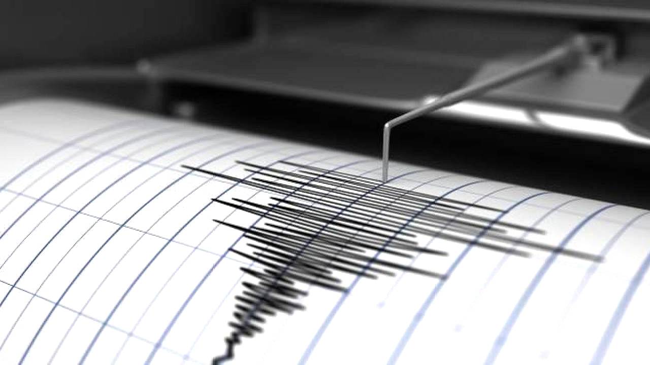 seismograph-net-1240