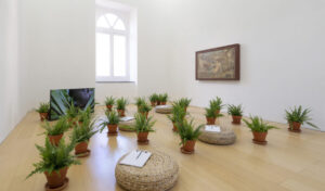 ナポリのマドレ美術館で自然を再考する：人と自然の関係に関する展示