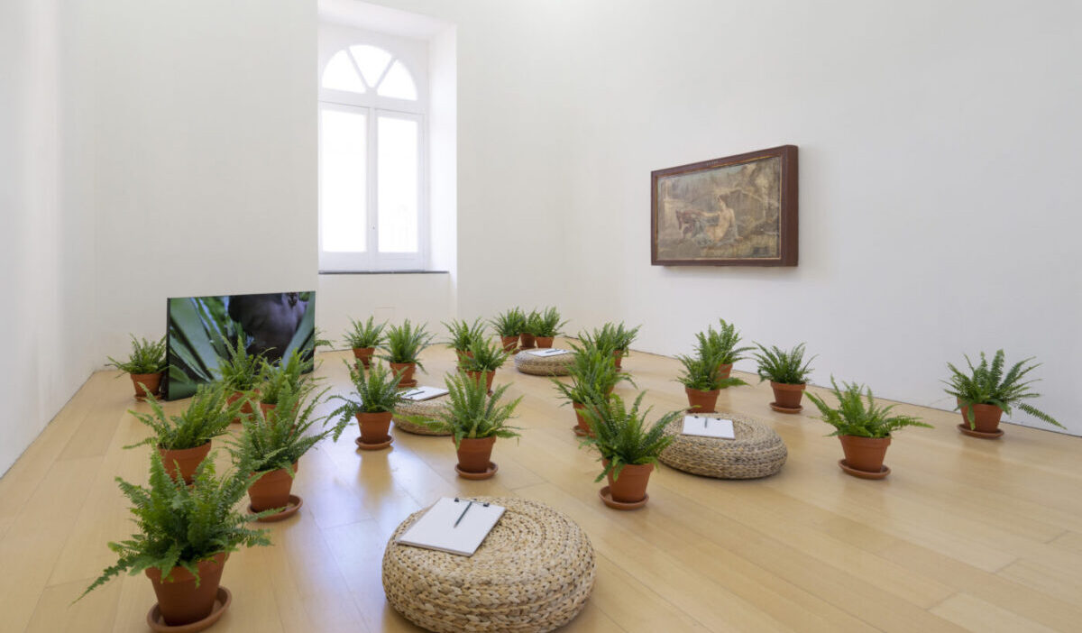 Repenser la nature au musée Madre de Naples: l'exposition sur la relation entre l'homme et la nature