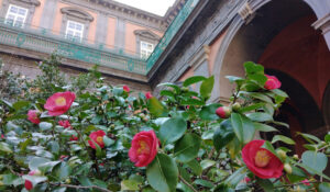 那不勒斯皇宫的情人节：2x1 门票和意大利花园的特殊开放