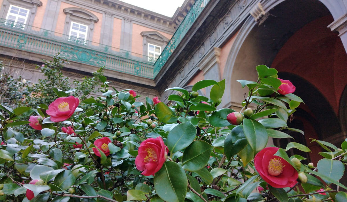 San Valentino al Palazzo Reale di Napoli: biglietto 2×1 e apertura eccezionale del Giardino Italia