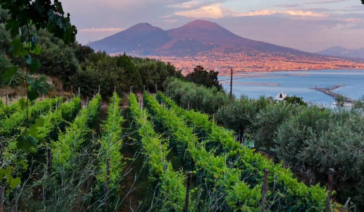 Vigna di San Martino