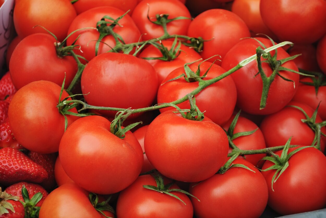 Pomodori