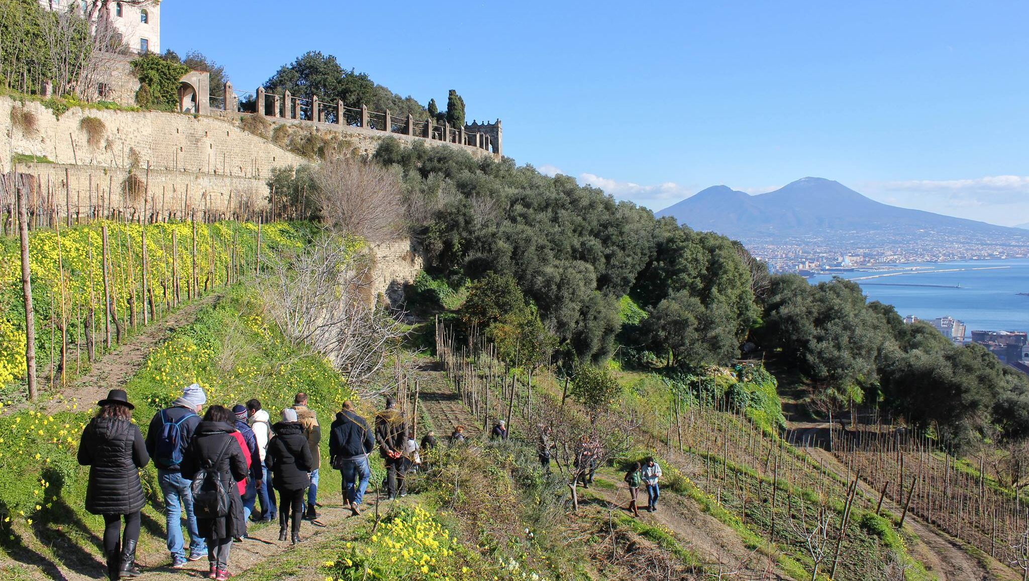 Trekking alla Vigna di San Martino