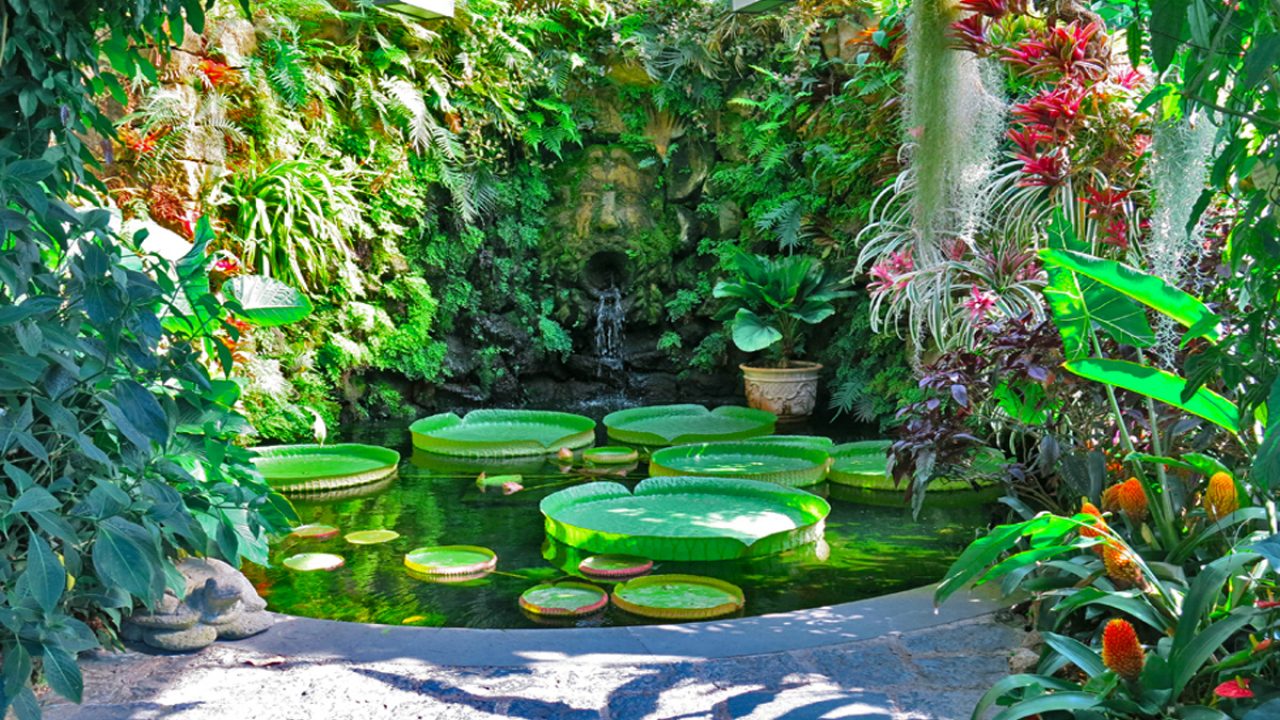 Die La Mortella-Gärten in Fiorio d'Ischia werden mit vielen Veranstaltungen, Konzerten und Shows wiedereröffnet