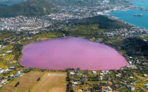 Das Wasser des rot/rosa Averno-Sees: zwischen Staunen und Besorgnis. Hier ist der Grund!