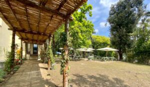 Bosco di Capodimonte 开设了一家小酒馆：一个供文学会议、品酒和放松的凉茶室