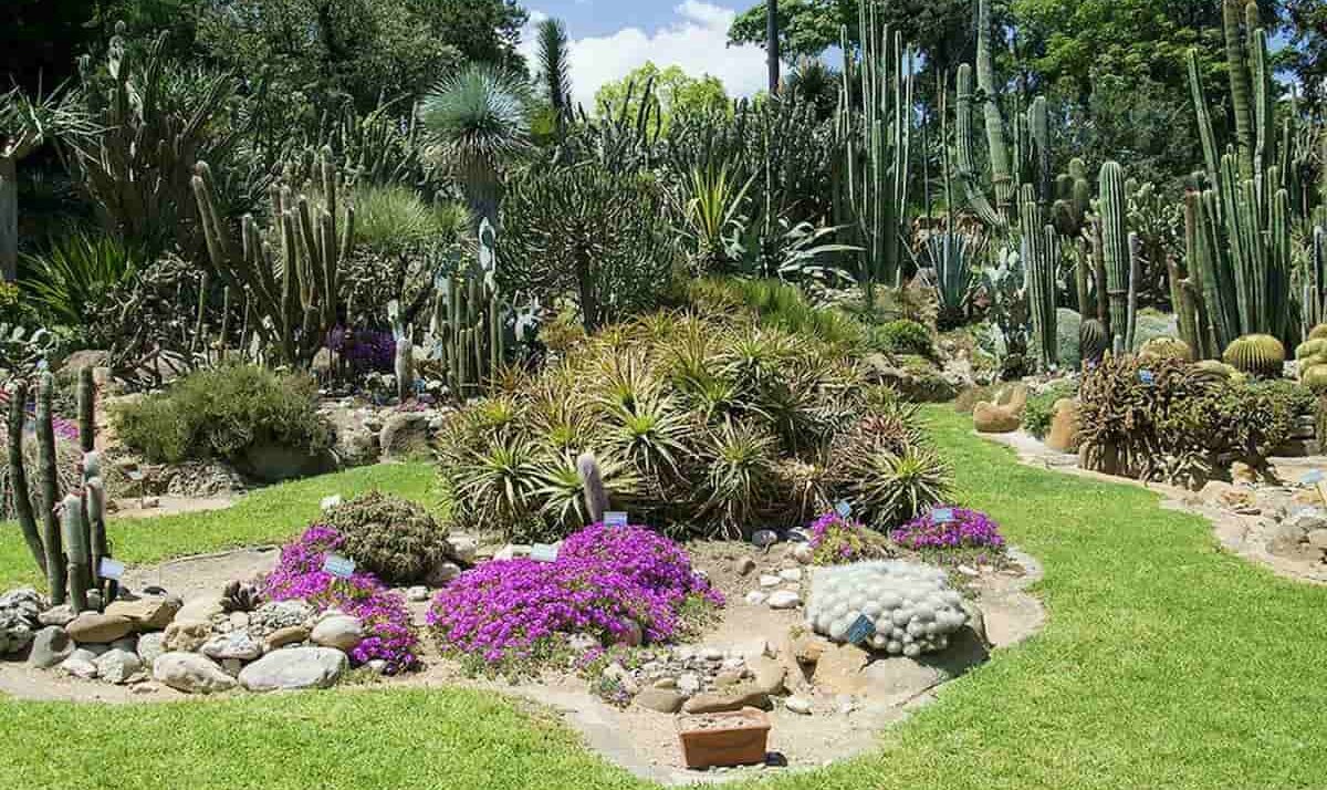 Jardin botanique de Naples