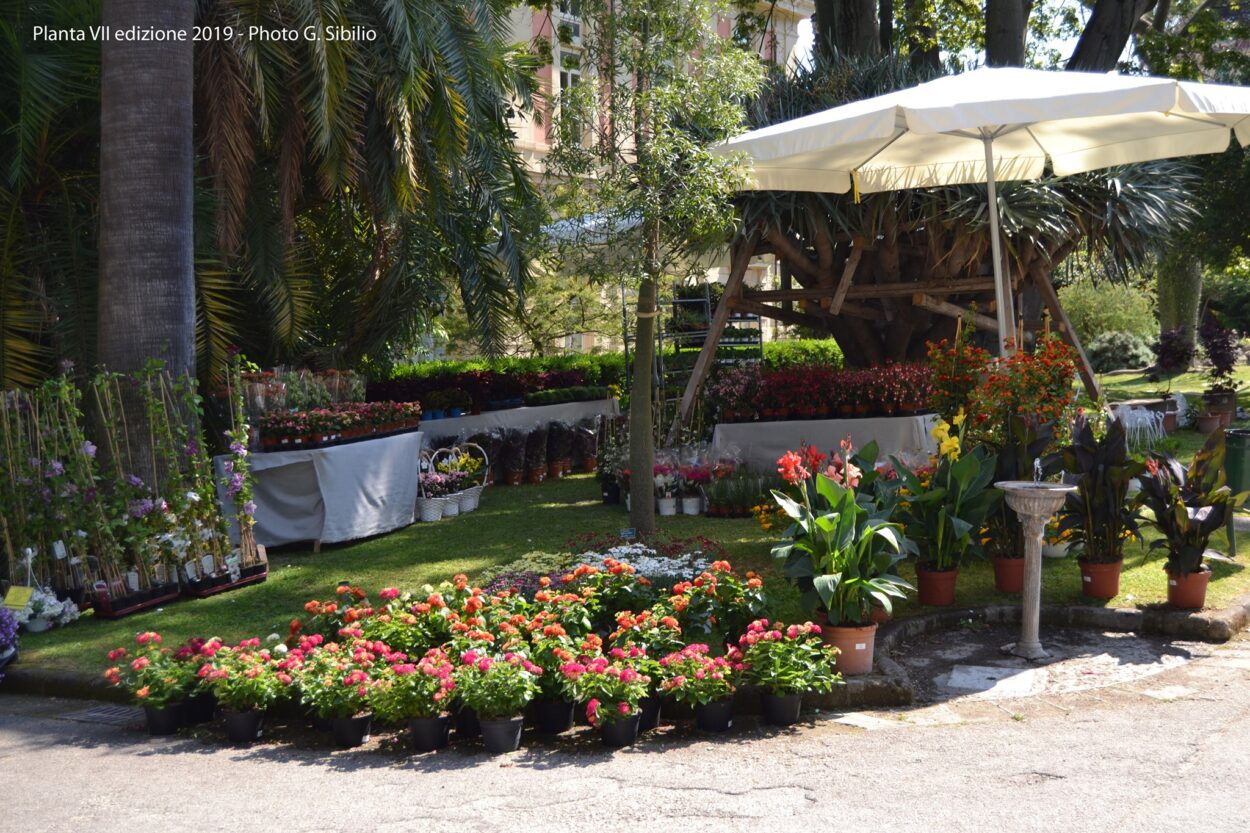 Stand Botanical Garden of Naples