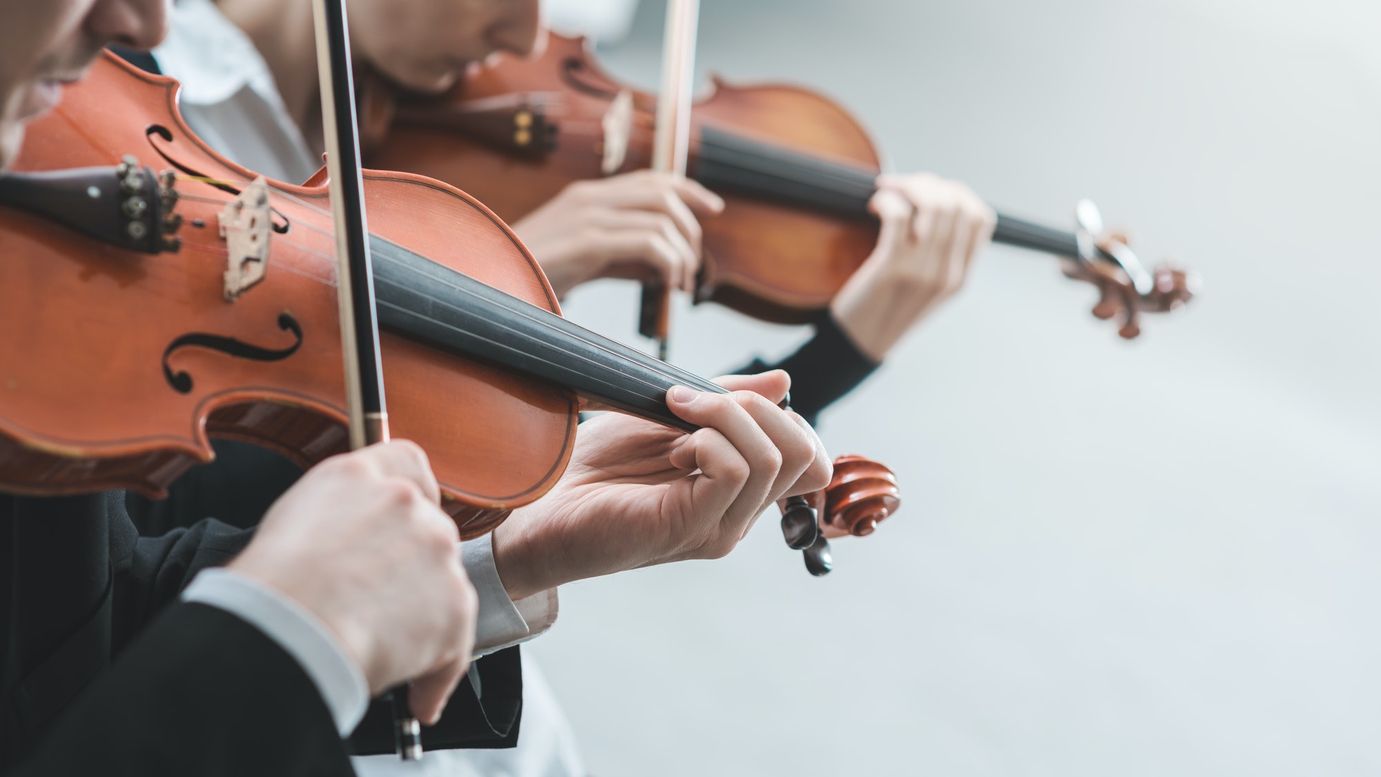 Violinists