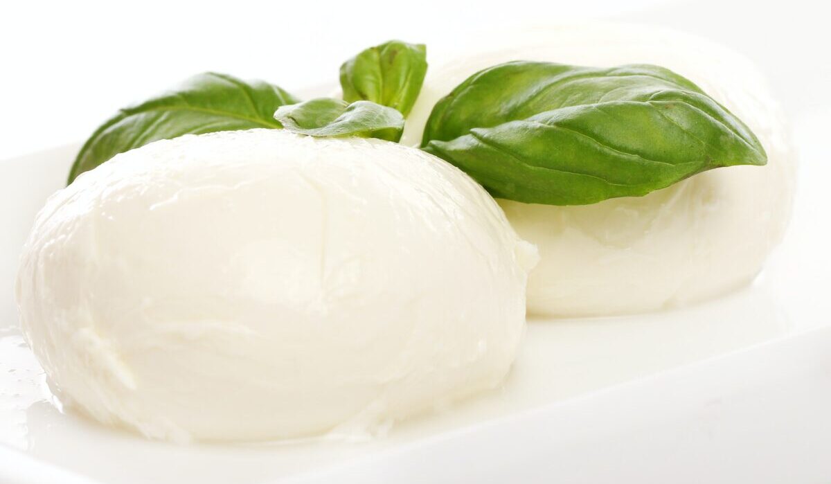 Mozzarella