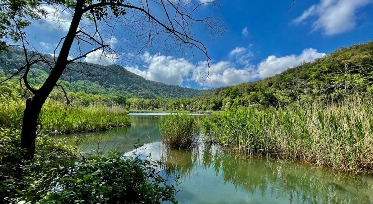 Reserva natural de Astroni