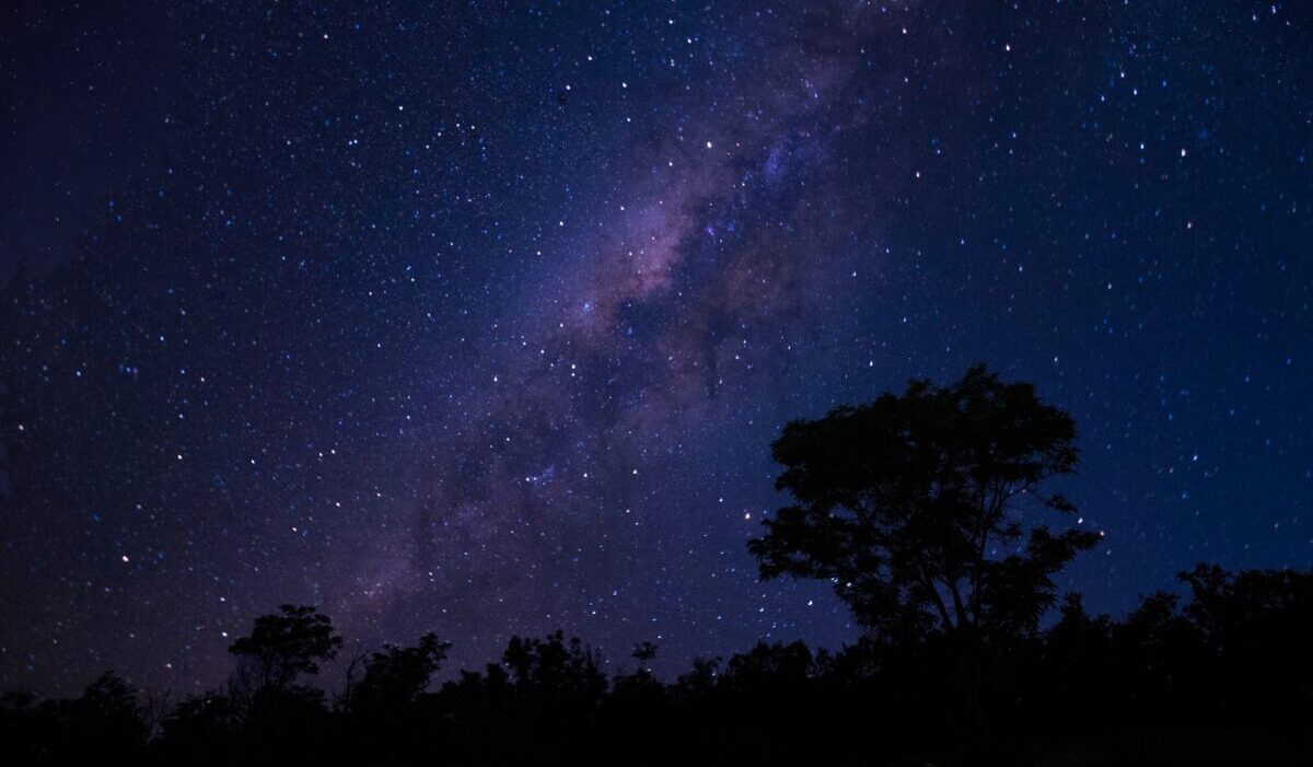 满天星斗的天空和银河与树