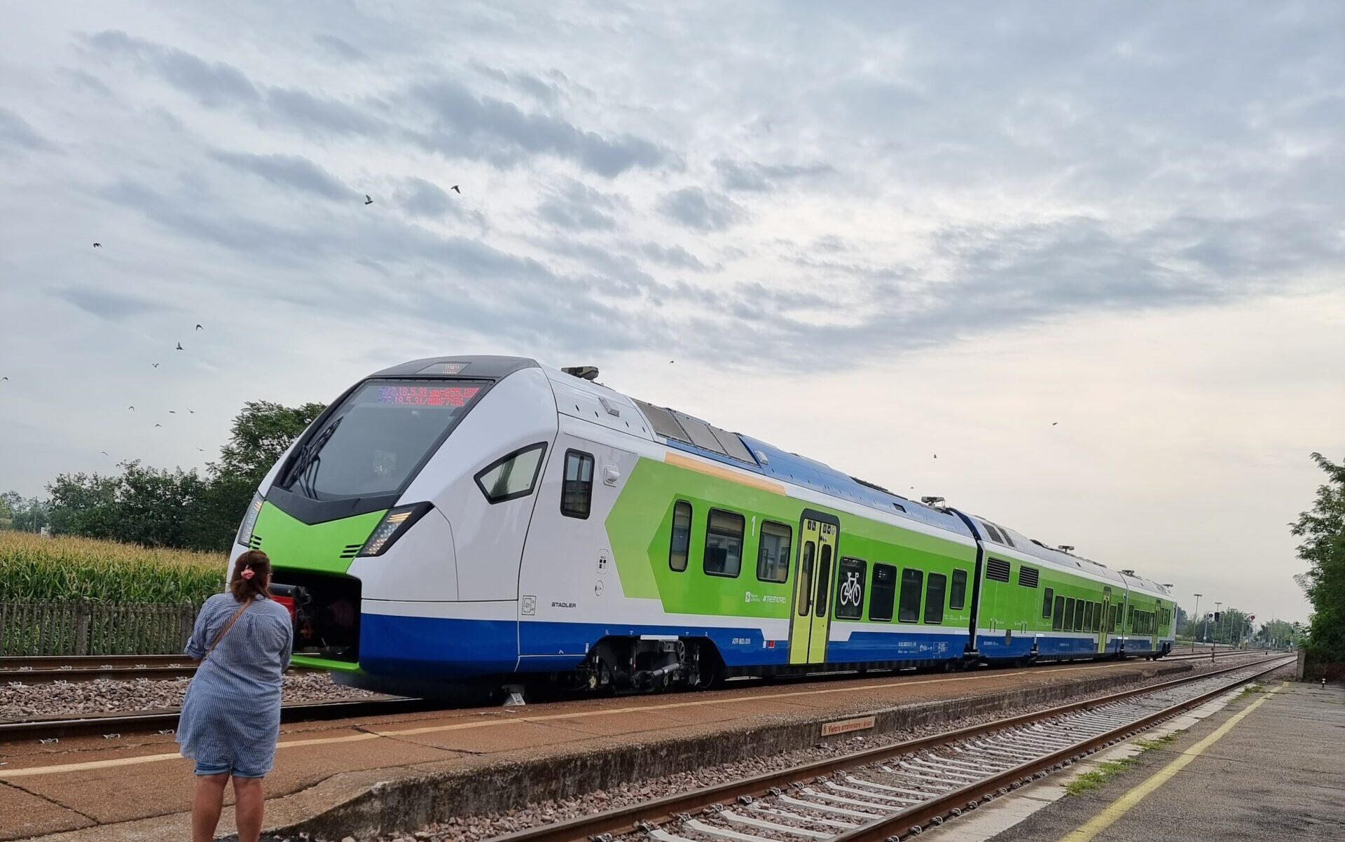 Treno ATR 803 attivo sulla linea Napoli Piedimonte Matese