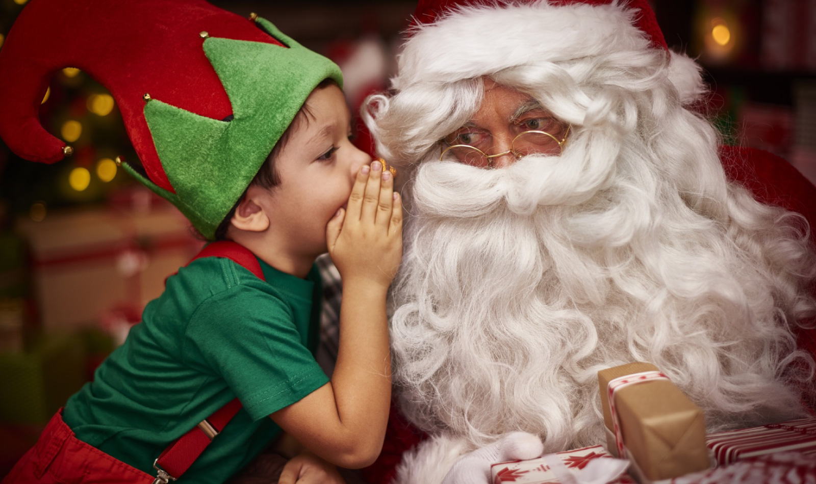 Babbo Natale ed Elfo