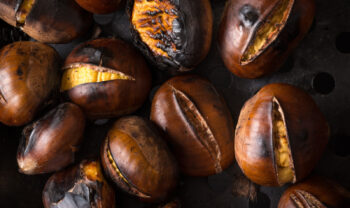 roasted chestnut