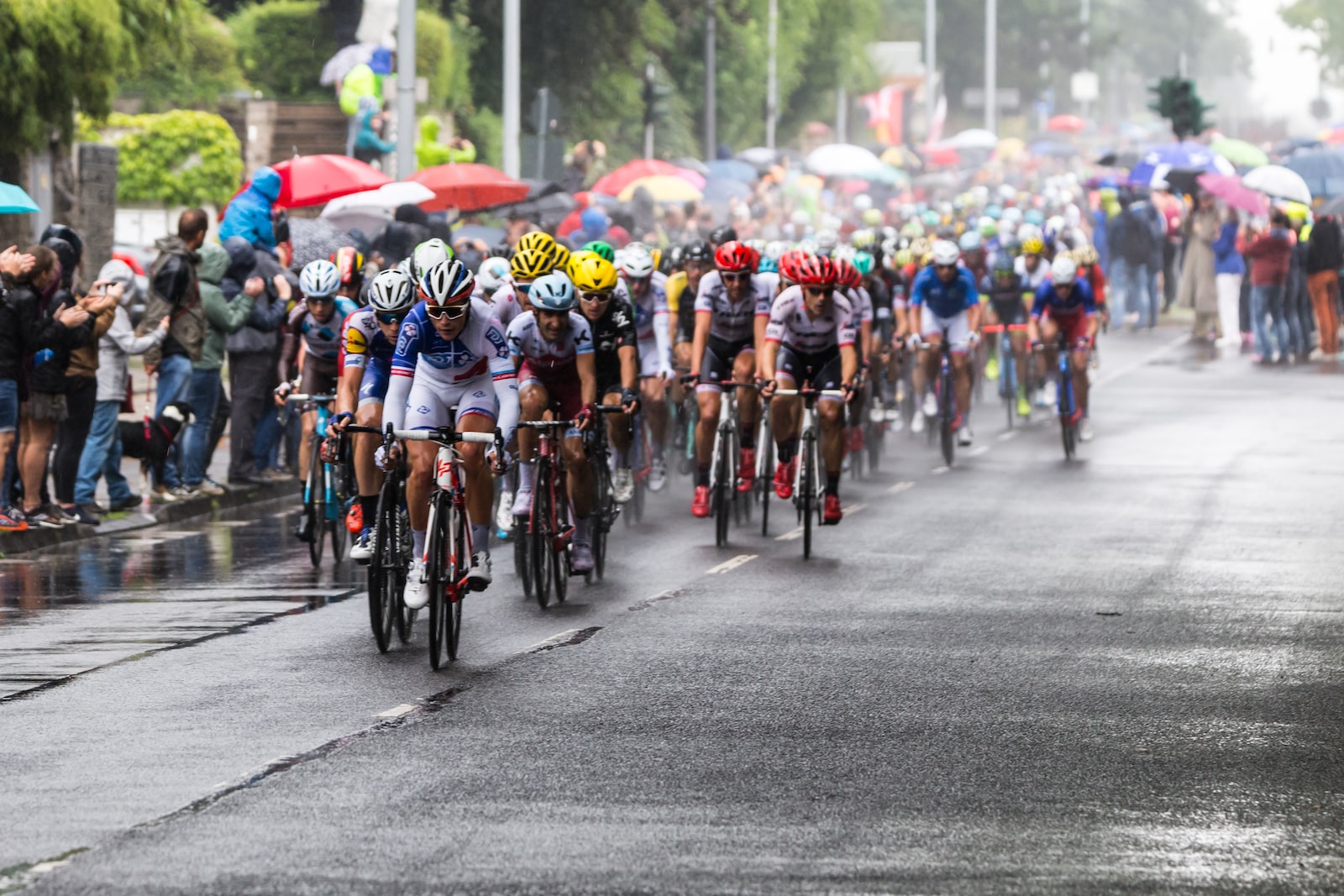 Cyclists running on an asphalted road