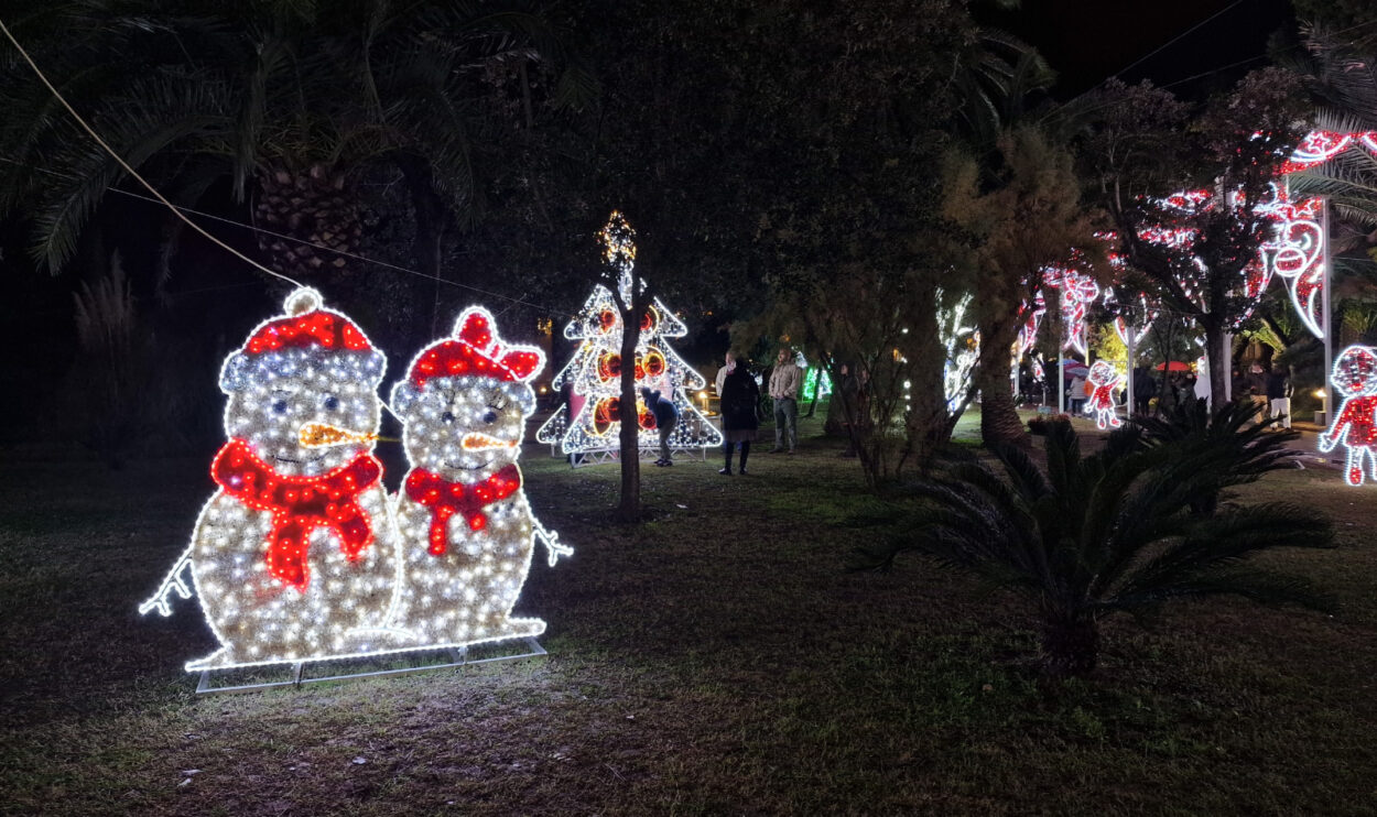 2022 年圣诞节，几只企鹅在 Bacoli 的灯光下