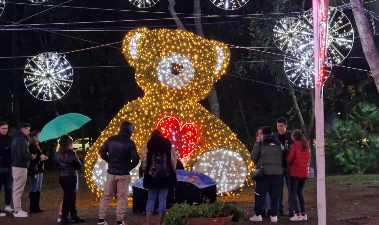 Petit ours parmi les lumières Bacoli pour Noël 2022