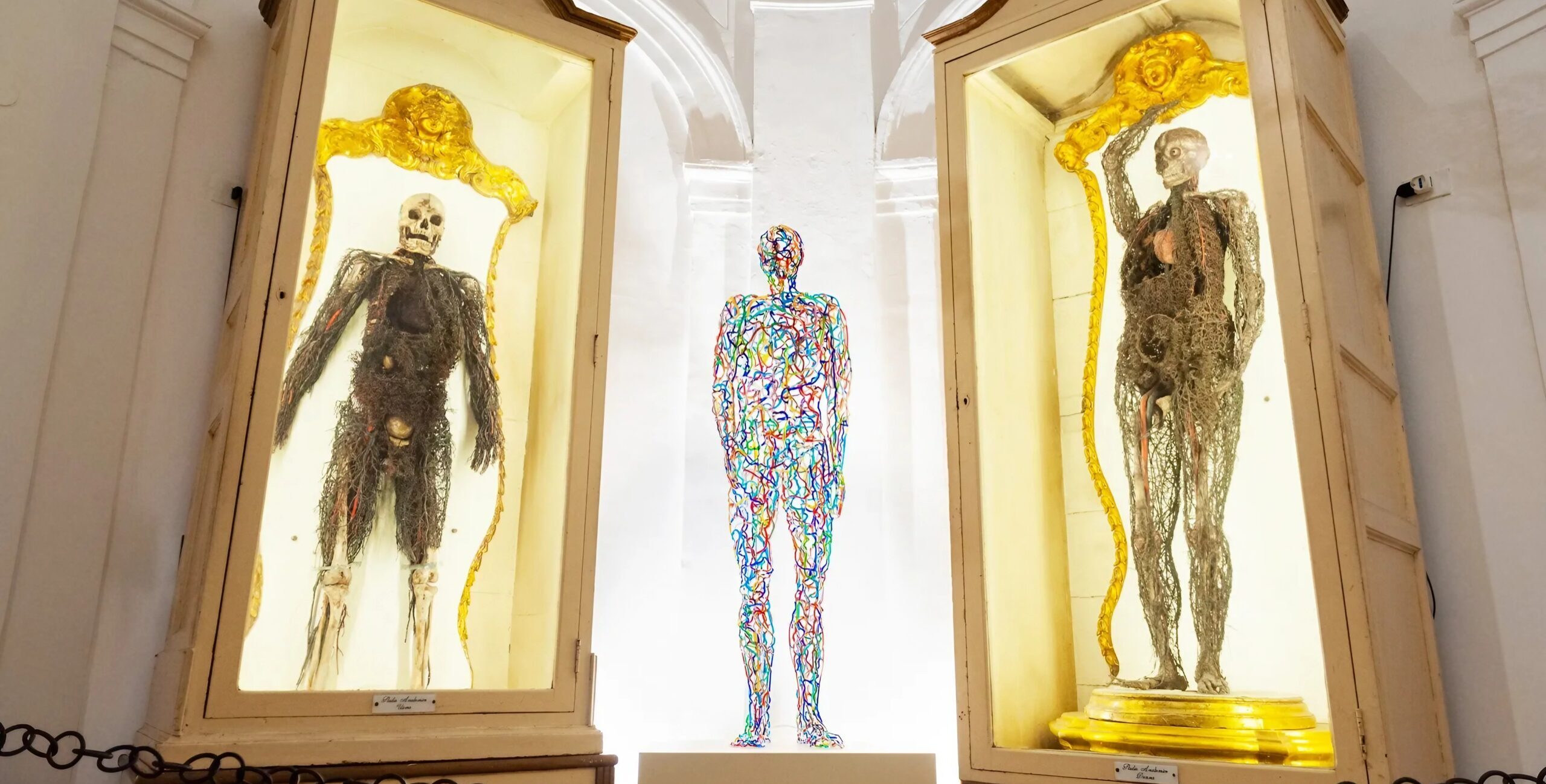 Humanitas in vitro na Capela Sansevero, exposição de Máquinas Anatômicas