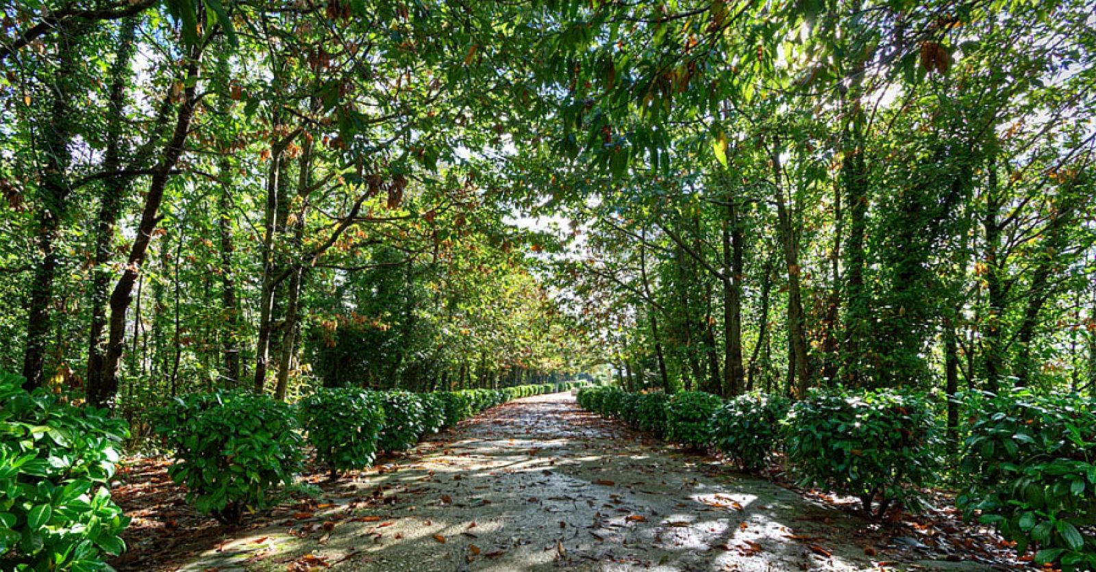 Camaldoli Park in Naples