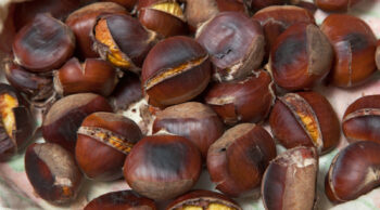 Castagne