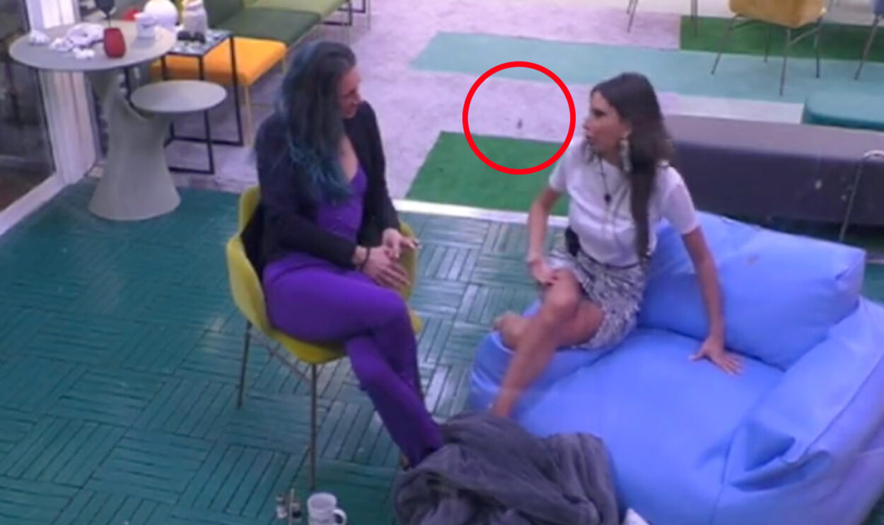 La souris en vidéo pendant le GF VIP