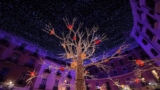 Luminarie di Salerno, зажигаются огни художника, тема: сказки