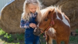 At the Reggia di Carditello pony rides for children between nature and history