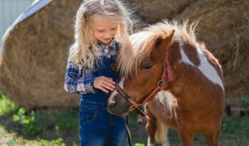 niño feliz palmeando lindo pony en la granja