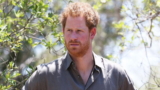 Principe Harry: in Spare il dettaglio sulle parti intime