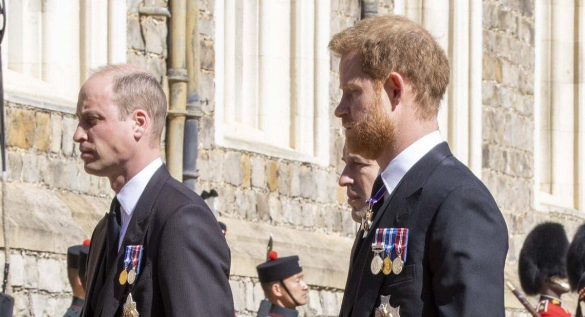 prince william and prince harry