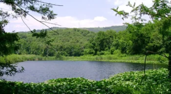 Oasis de l'Astroni