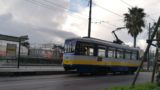 Bufala Fest 2023 in Naples, ANM strengthens tram service