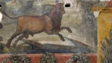 Visite straordinarie a Pompei, ogni giorno aperta una Domus normalmente chiusa
