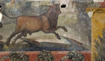 Visite straordinarie a Pompei, ogni giorno aperta una Domus normalmente chiusa