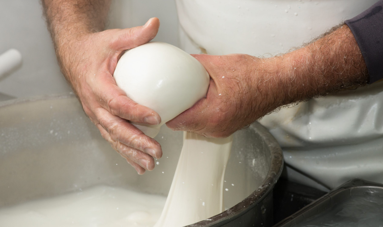 Verarbeitung von Büffelmozzarella aus Kampanien