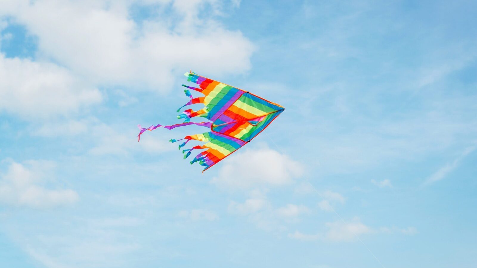 Kite in the sky