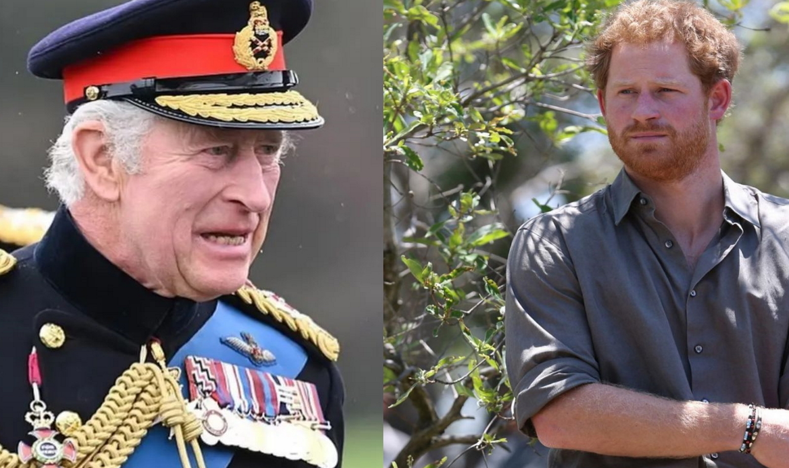 King Charles III Prince Harry