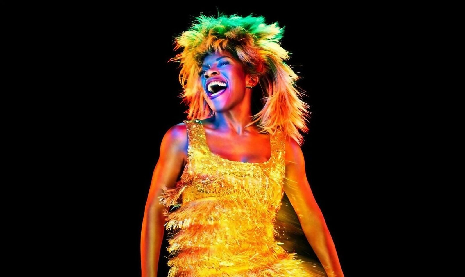 Tina Turner Roche