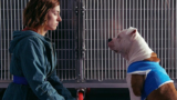 Blanca, polemiche degli animalisi per Linneo il bulldog della fiction